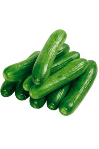 SALATALIK YERLİ *KG*. ürün görseli