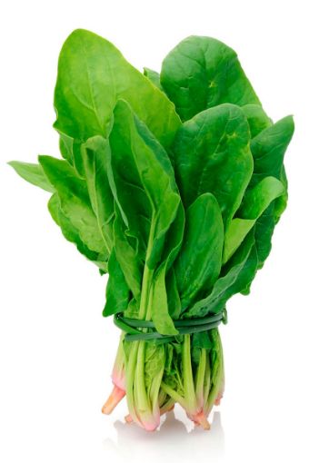 ISPANAK *KG*. ürün görseli