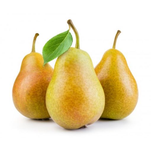 ARMUT MARGARİT *KG*. ürün görseli