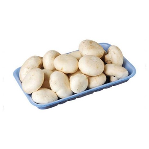 KÜLTÜR MANTARI 400 GR *ADET*. ürün görseli